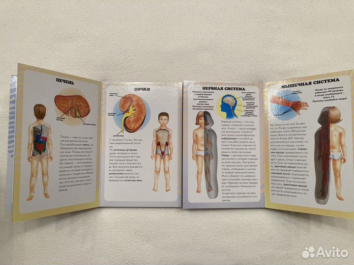Книги детям про тело человека