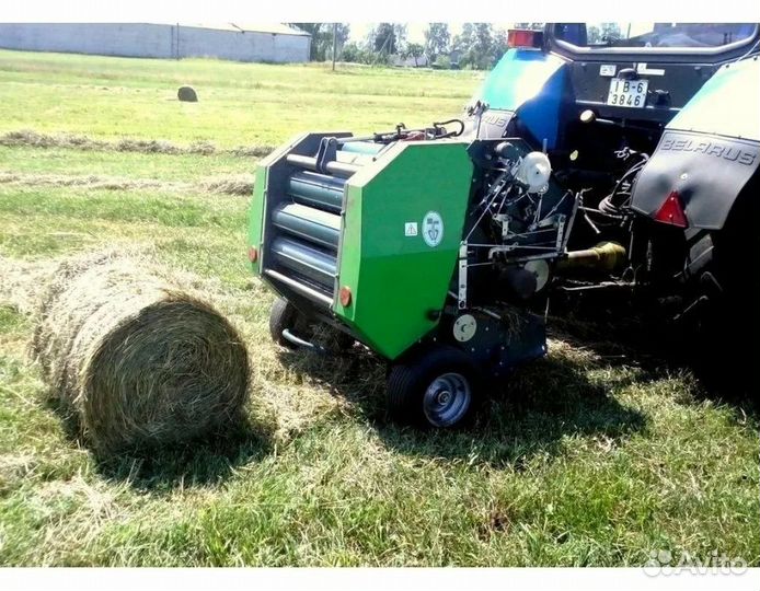 Корова, быки, телята, телочки