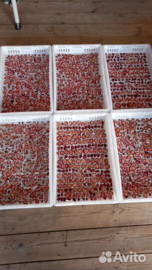 Клубника сушеная домашняя,яблоки сушёные