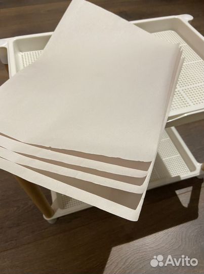 Проращиватель микрозелени