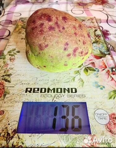 Хеномелес японский крупноплодный, семена