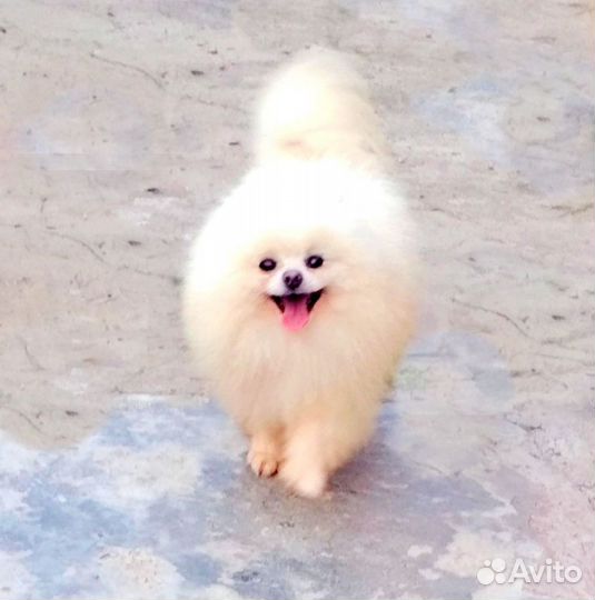 Вязки мальчиков