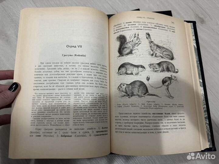 Книги Брэм Жизнь животных