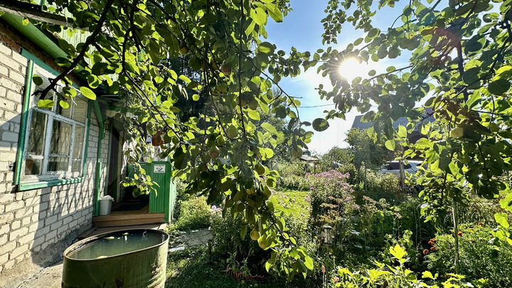 Дача 50 м² на участке 4,5 сот.