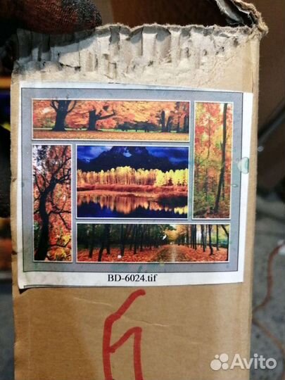 Картины, стекло