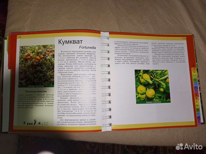 Книга про комнатные растения