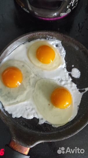 Домашние куриные яйца