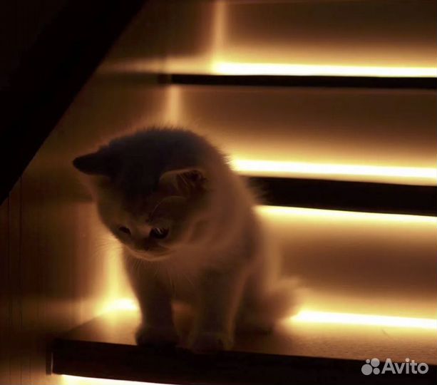 Подсветка лестницы с датчиками движения