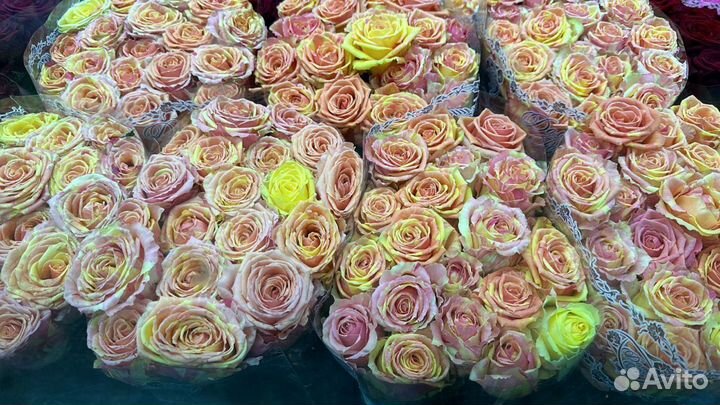 Букеты из 101 розы, 51 розы, 25 роз с доставкой Бу