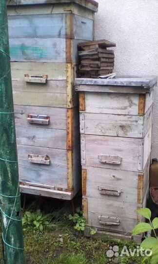 Оборудование для пасеки