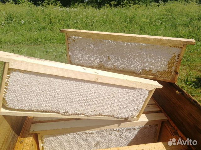 Мёд с личной пасеки