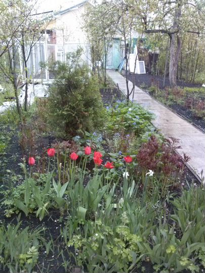 Дача 31 м² на участке 10 сот.