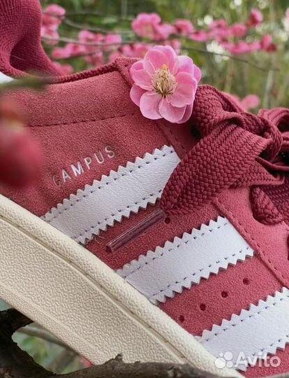 Adidas Campus 00s Pink Strata