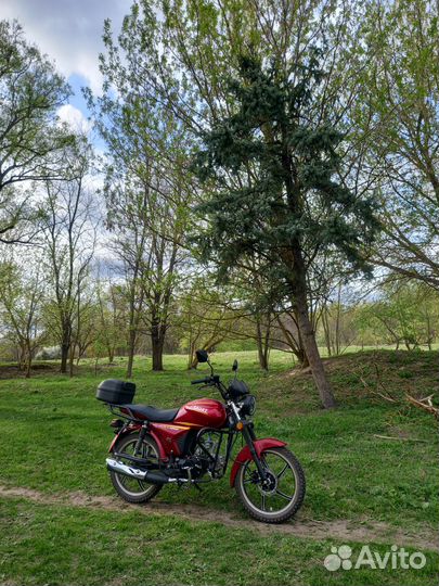 Альфа Спорт