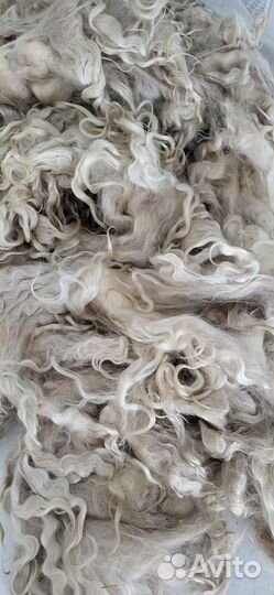 Ангора пух