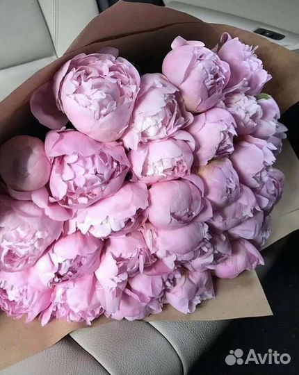 Пионы 9 25 101,Букет цветов пионы с доставкой