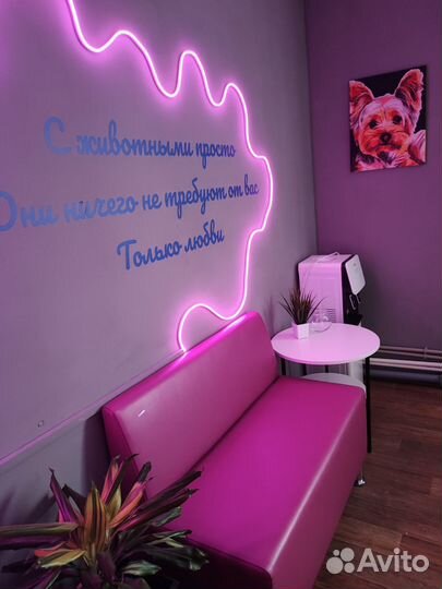 Груминг студия