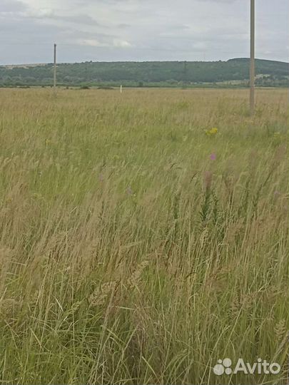 Сено в тюках