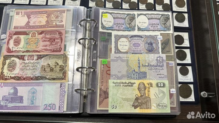 Банкноты разных стран