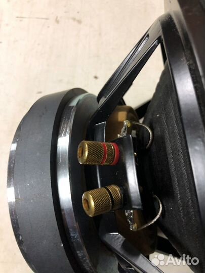 Alphard RW100B81 нч-сч динамик 10