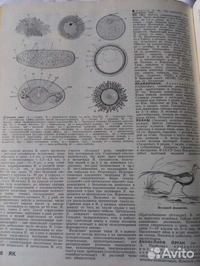 Книга Биологический энциклопедический словарь 1986