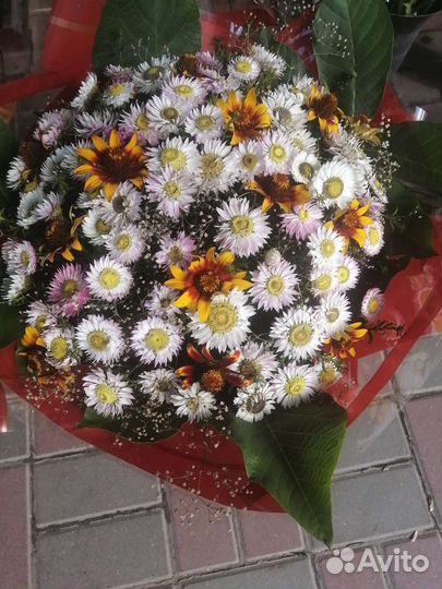 Красивые букеты с доставкой