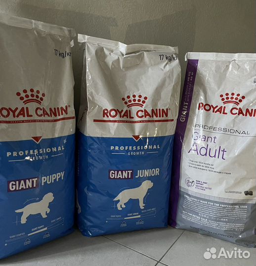 Сухой корм для собак роял канин