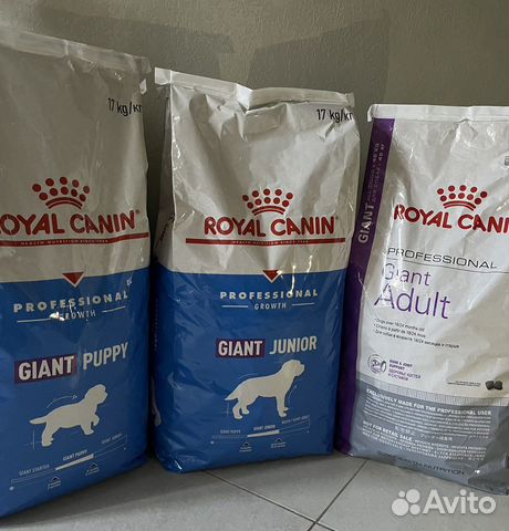 Сухой корм для собак роял канин