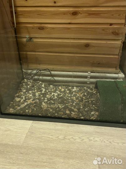 Террариум для красноухой черепахи