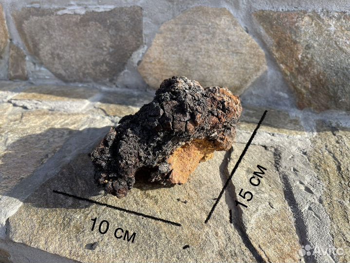 Чага сухая. Цена за 1 кг (средние куски)