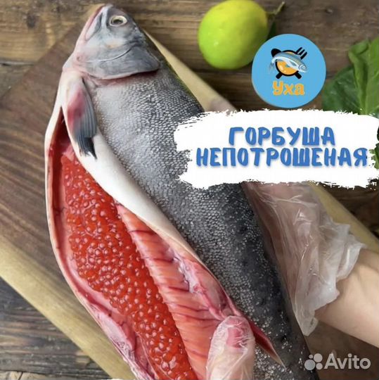 Горбуша непотрошеная свежемороженная