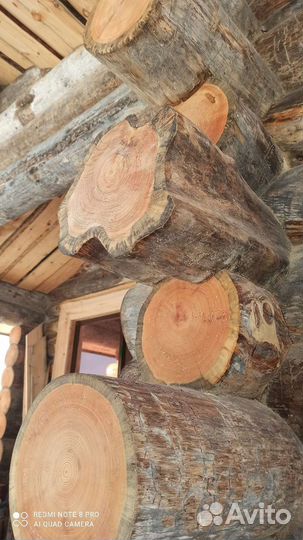 Бревно кругляк. Кело в наличии 30м3