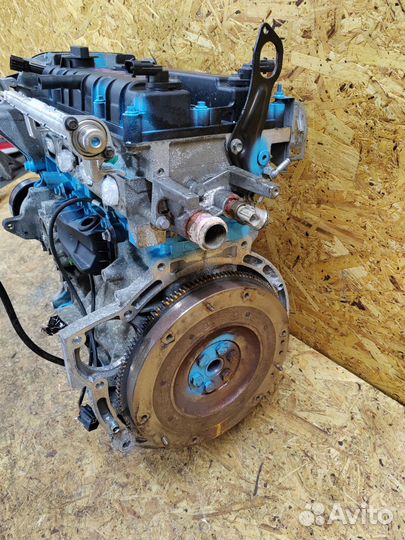 Двигатель Мотор Двс Ford Focus 2 hxda