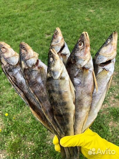 Рыбка Сушёная Судак