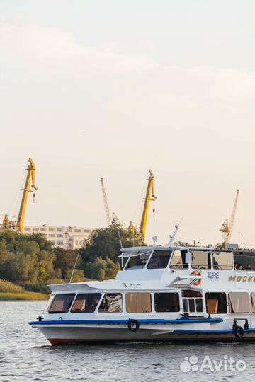 Часовые прогулки на Дону на теплоходе