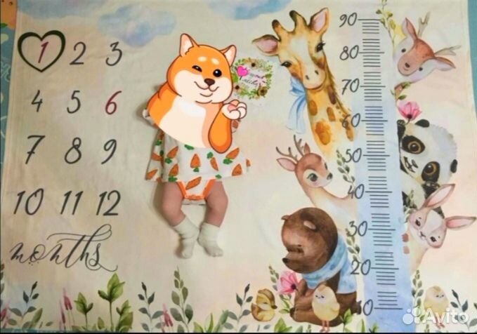 Фотоплед для новорожденных по месяцам