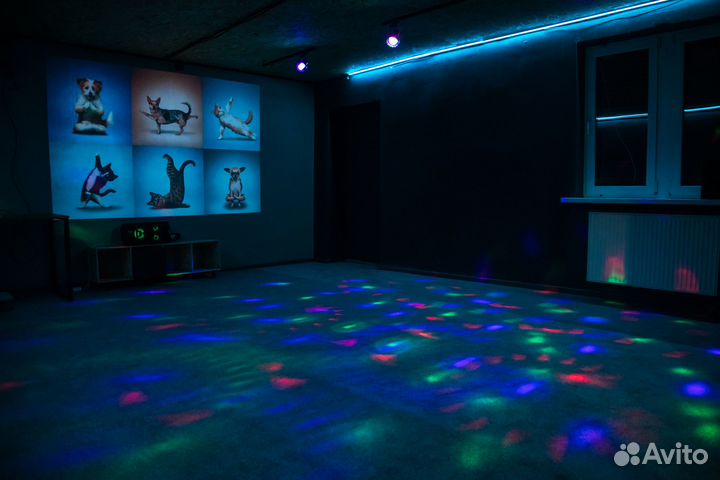 Вечеринка беспредела для детей на праздник + квест