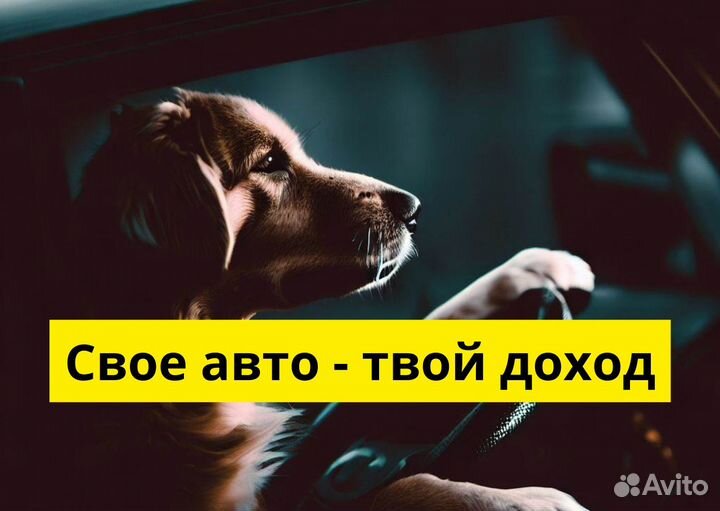 Водители на л/а для Яндекс Go – вакансия