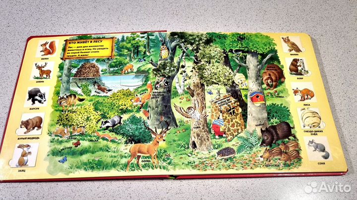 Книга 1000 окошек В лесу, художник Тони Вульф