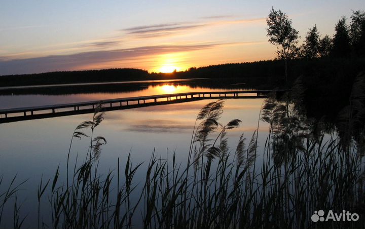 Дом 16м² на участке 1,2га