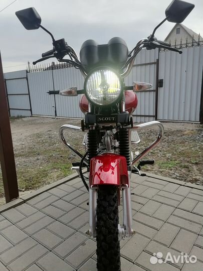 Продам мопед Альфа Scout