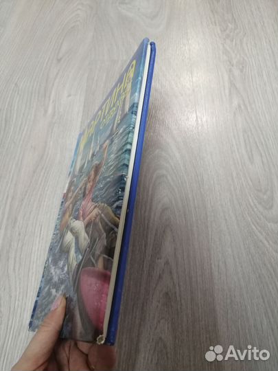 Мартина на отдыхе, книга