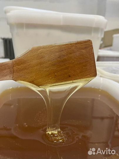 Мёд свежий оптом. Липа, качка 2023 г