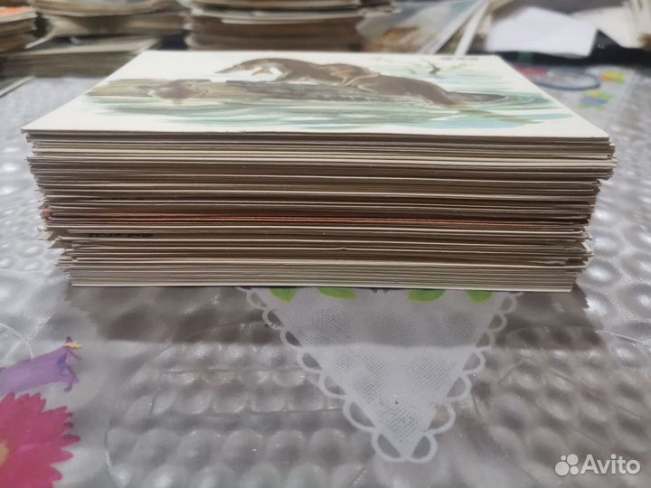Открытки СССР 50 - 60 г. Животные 150 шт