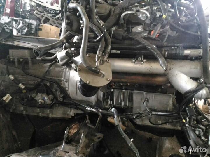 VW touareg 3.0 TDI CRC двигатель