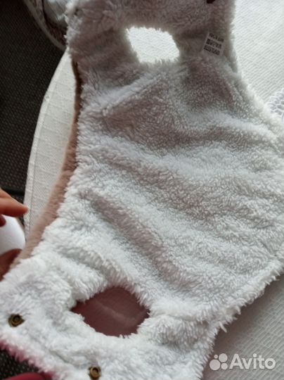 Одежда для животных