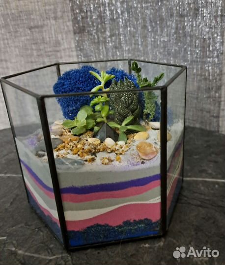 Продам флорариум композицию из цветов