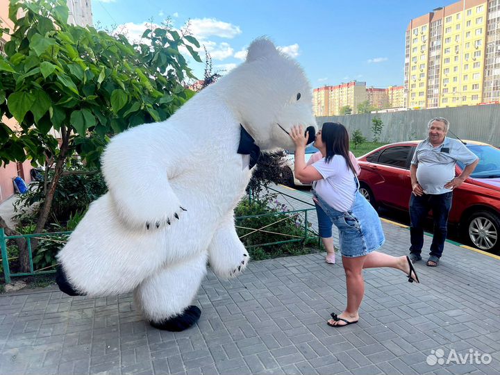 Белый мишка поздравление, медведь танцор