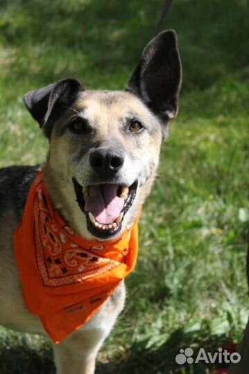 Старый Пашка надеется на чудо