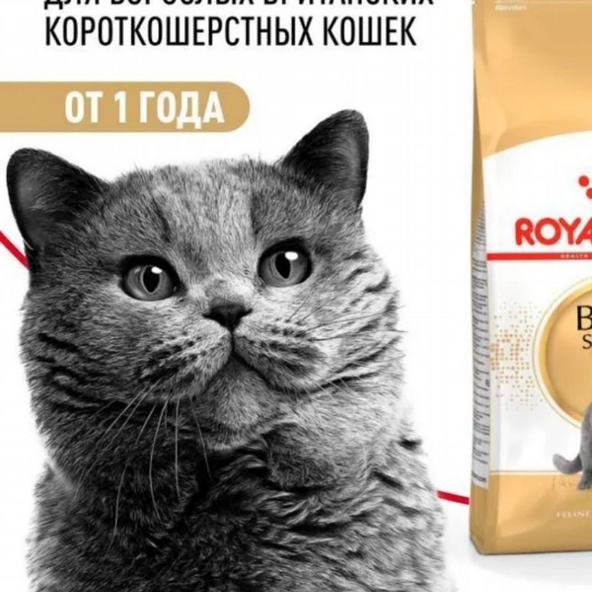 Корм для кошек Royal Canin British 10кг